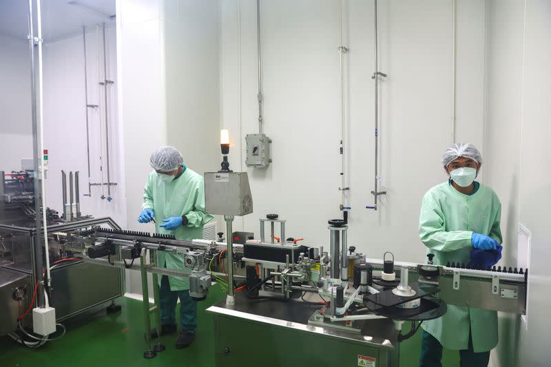 Production of cannabis-infused medicine at the Government Pharmaceutical Organization in Pathum Thani province