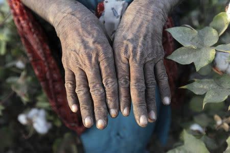 A woman cotton picker shows her hands as she poses for a picture in cotton fields near Meeran Pur village, north of Karachi September 25, 2014. REUTERS/Akhtar Soomro