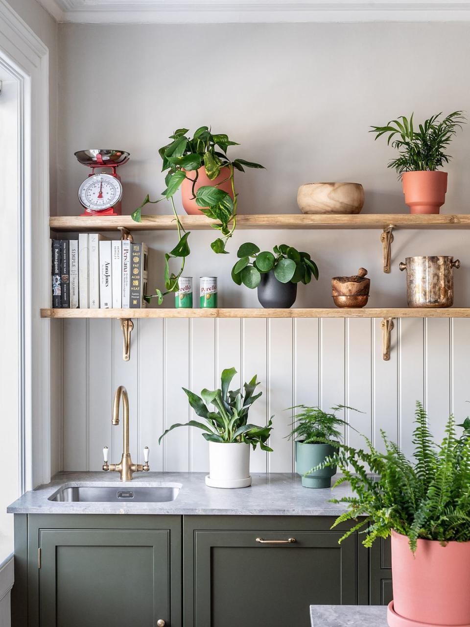 <p>As well as clever design tricks and storage solutions, you can simply introduce nature into your space by integrating aspects of the outdoors – <a href="https://www.housebeautiful.com/uk/garden/plants/a39927495/kitchen-plants/" rel="nofollow noopener" target="_blank" data-ylk="slk:plants" class="link ">plants</a> are an obvious one, as well as useful herbs like mint or sage. </p><p>Pictured: <a href="https://www.leafenvy.co.uk" rel="nofollow noopener" target="_blank" data-ylk="slk:Assorted plants at Plant Envy" class="link ">Assorted plants at Plant Envy</a></p>
