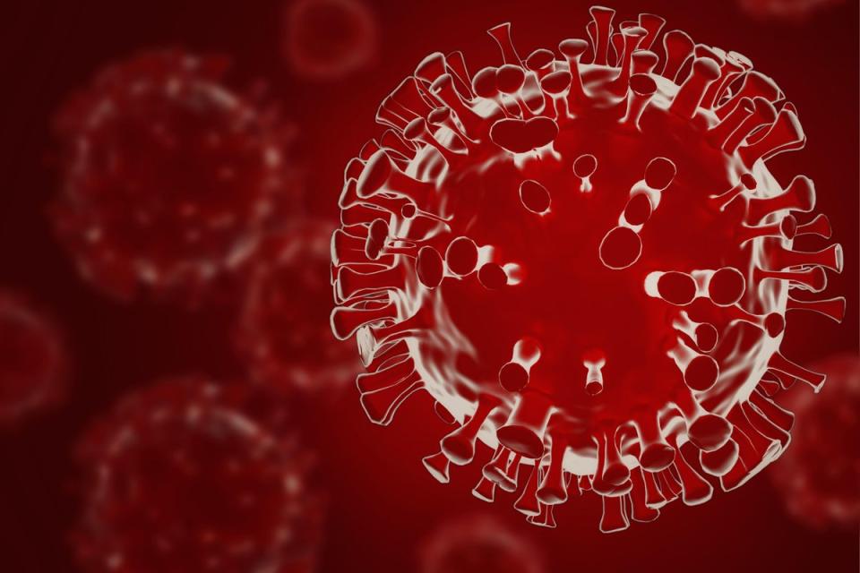 The BQ1 variant of omicron poses a big challenge for people who are immunocompromised ((Alexander Borisenko /Alamy/PA))