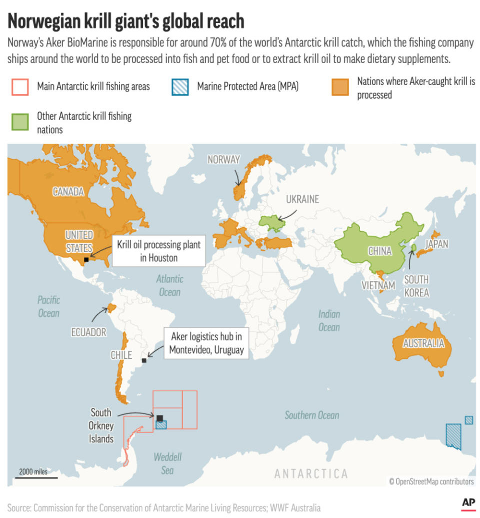 Aker BioMarine ships krill around the world to be processed into animal feed, fish food and dietary supplements.. (AP Digital Embed)