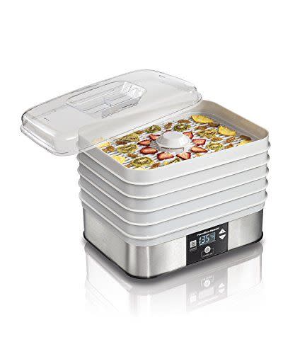 6) Hamilton Beach Digital Food Dehydrator