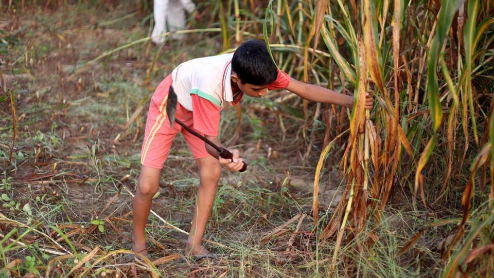 Facilitation of community-focused grassroots efforts, including survivor-led interventions, to prevent child labour and to create a robust safety net around every child is needed