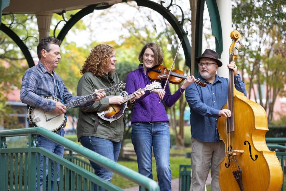 Bluegrass Musicians