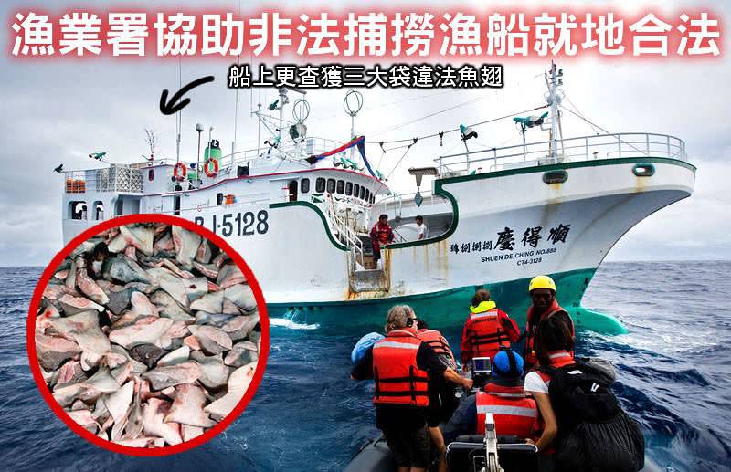 綠色和平彩虹勇士號巡航船9日在太平洋公海發現一艘台籍非法漁船，在沒有執照狀況下非法捕鮪魚。（取自GREENPEACE綠色和平(台灣網站)臉書）