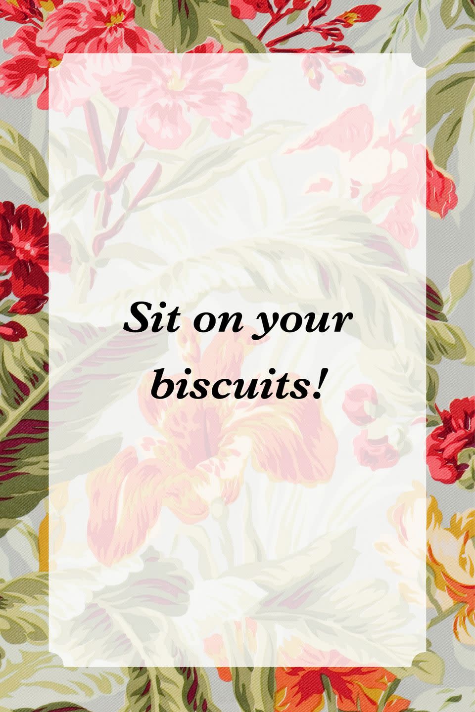 <p>"Sit on your biscuits!"</p>