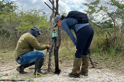 The team uses an integrated and continuous monitoring system to track jaguars and their prey