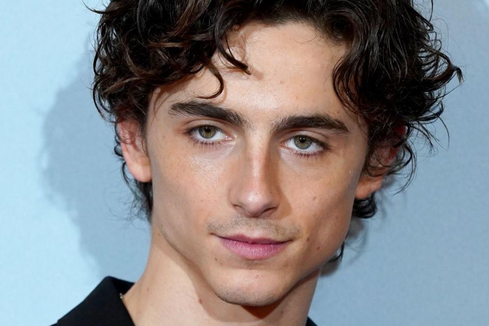 Timothee Chalamet (Ian West/PA) (PA Archive)