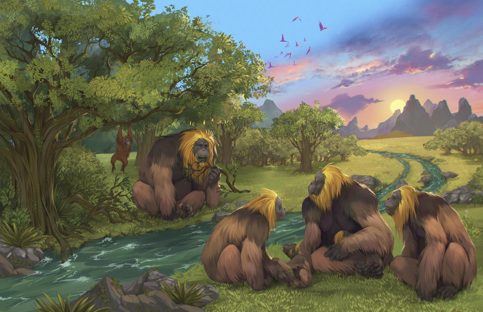 This illustration provided by researchers depicts Gigantopithecus blacki in a forest in the Guangxi region of southern China. / Credit: Garcia/Joannes-Boyau/Southern Cross University via AP