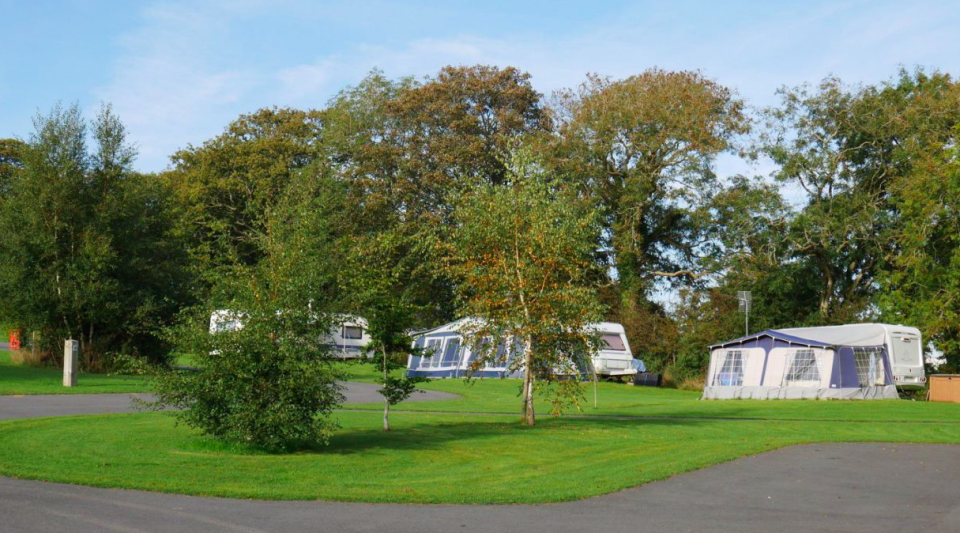 A drunk driver has admitted to driving into tents at a campsite in Wales (Wales News)