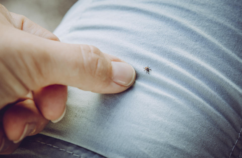 Examining yourself for ticks after spending outside can help you locate potential tick bites. (Image via Getty Images)