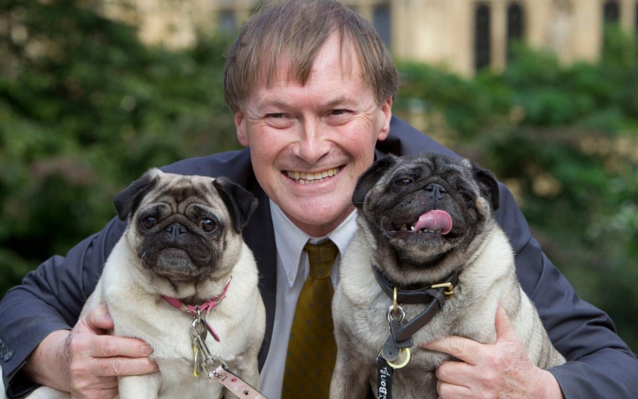 David Amess with dogs Lilly and Bo at the Westminster Dog of the Year in Victoria Tower Park in 2013 - Heathcliff O'Malley 