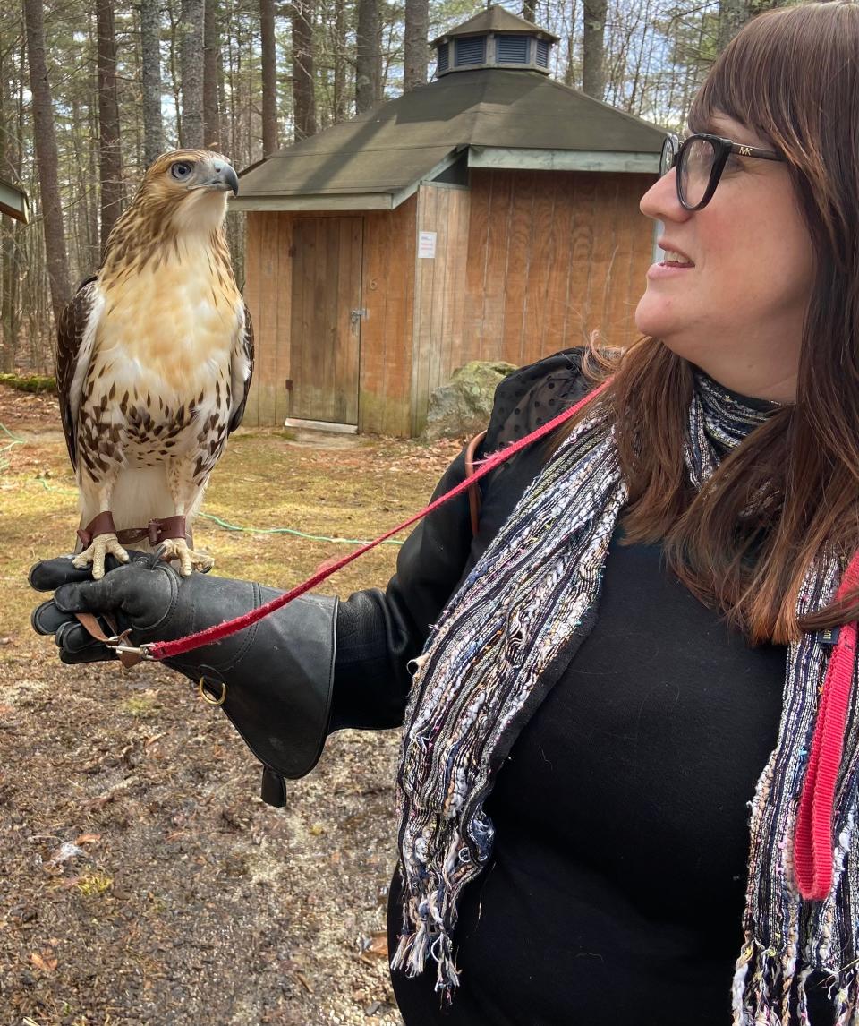 Center for Wildlife Executive Director Kristen Lamb holds rescued red-tailed hawk Pisces, the center's newest ambassador.