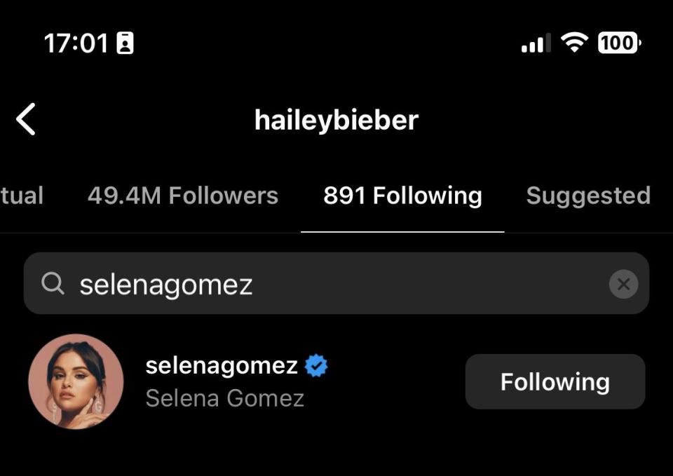 hailey following selena on ig