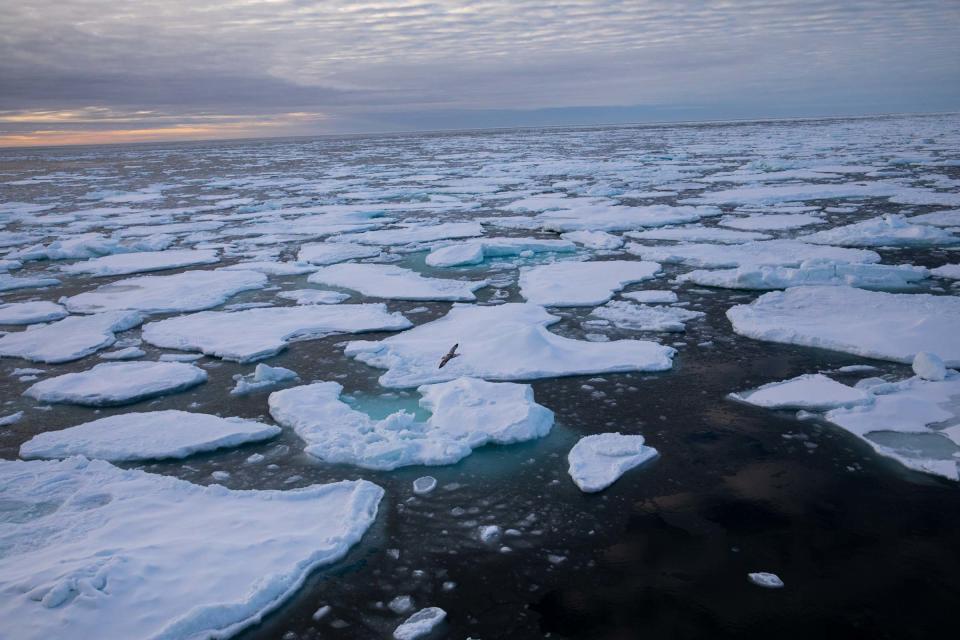 The Arctic sea ice edge off the coast of Greenland, on Sep. 15, 2020.<span class="copyright">Daniella Zalcman—Greenpeace</span>