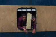 <p>Der Zug zum Islamischen Opferfest in Dhaka, Bangladesch, ist so überfüllt, dass die Insassen am Fenster nach frischer Luft schnappen. (Bild:AP Photo/Bernat Armangue) </p>