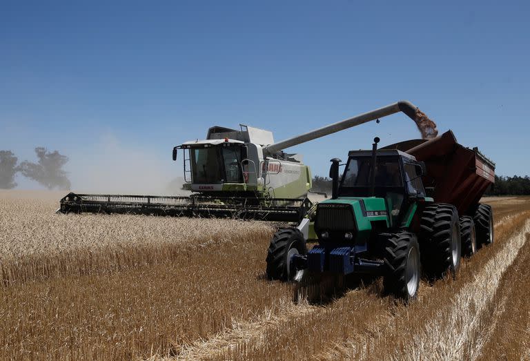 Agroindustria con salida al mundo La caída de la actividad y del poder adquisitivo afecta al sector, que también da cuenta de problemas estructurales; sin embargo, con innovación aplicada a las tareas rurales se estima que hay un enorme potencial; las exportaciones son por unos US$26.000 millones al