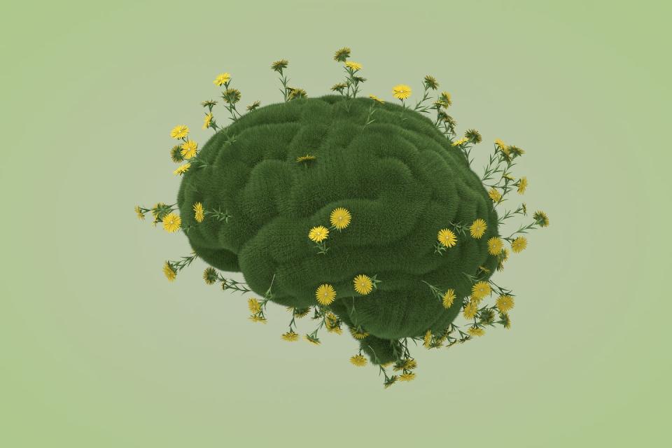 brain shape with grass