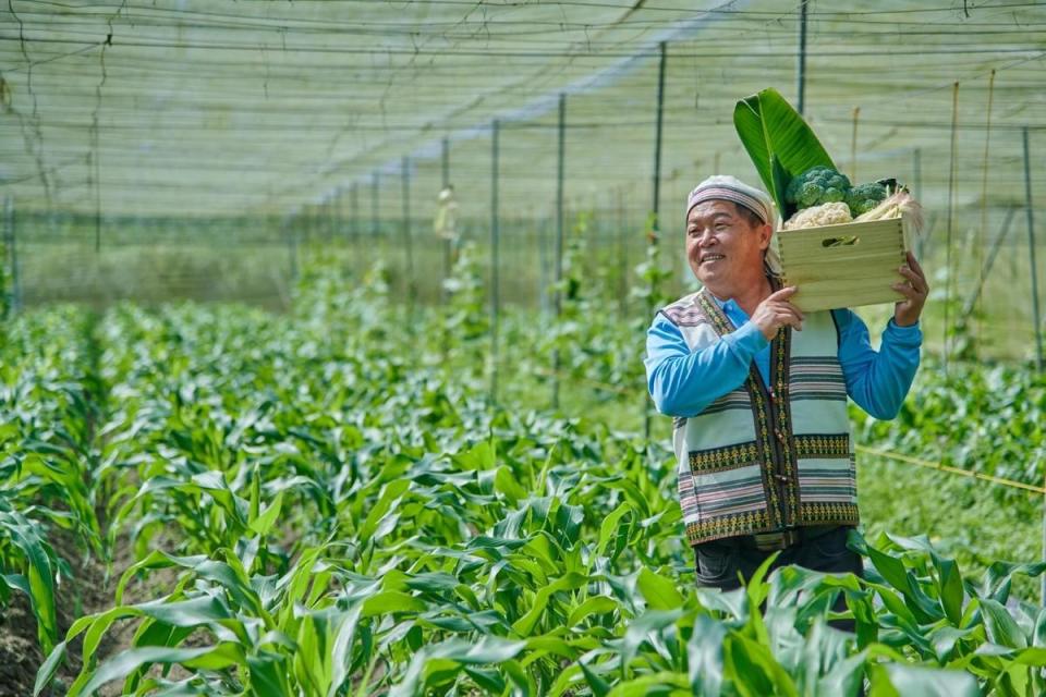 「宜花東原鄉市集」把夏季的山海物產搬到台北。（圖片提供：花蓮田亮了農創）