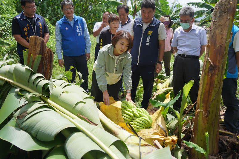 ▲縣長周春米今（29）日趁雨勢稍歇天氣放晴，前往內埔、新埤鄉等地勘查受災農戶農損情形。（圖／屏東縣政府提供）