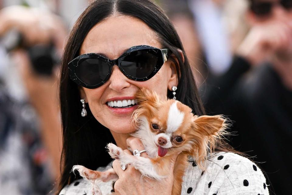 <p>Stephane Cardinale - Corbis/Corbis via Getty</p> Demi Moore with her dog Pilaf