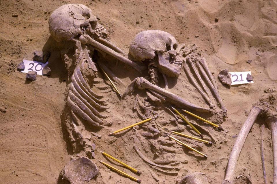 Researchers have reanalyzed fossils from a 13,000-year-old combat "cemetery" and they say the death site was the result of combat over many years.