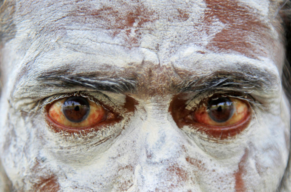 <p>A Naga Sadhu or Hindu holy man with his face covered with ash is pictured after taking a dip in the waters of the Shipra river at the Simhastha Kumbh Mela in Ujjain, India, on May 17, 2016 .(Jitendra Prakash/Reuters)</p>