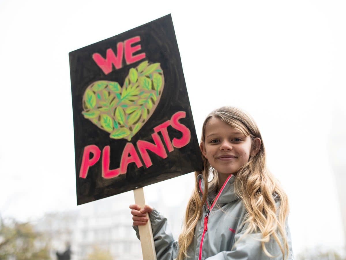 Young people have strong views on environmental issues, research suggests ( SWNS)