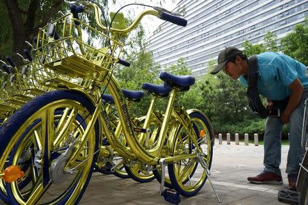 FILE PHOTO: A man looks at a shared bike in Beijing, China June 8, 2017. REUTERS/Stringer
