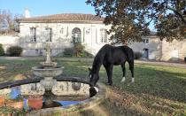 How Bordeaux became 'the only seller's market in France'