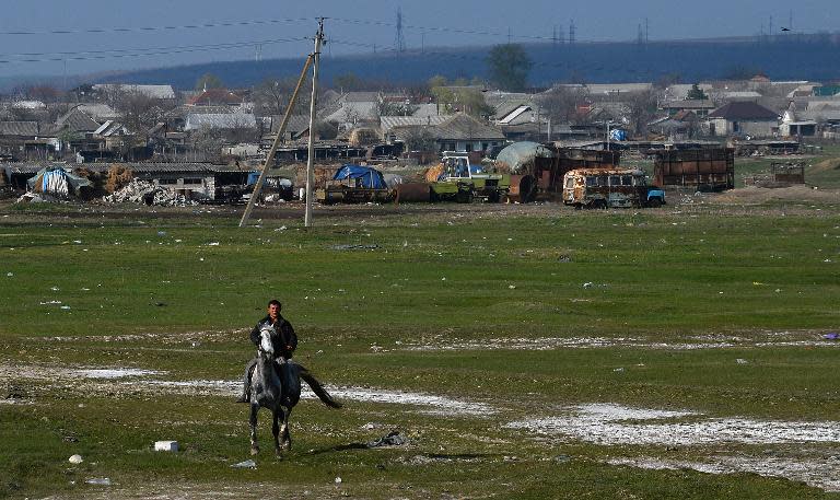 Vitalie Tchakusta trains a horse in a field outside Comrat city in southern Moldova, on April 7, 2014