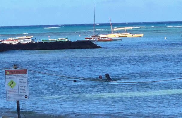 PHOTO: A swimmer had a dangerous encounter with a Hawaiian monk seal and her young pup, in the water off Kaimana Beach, in the Waikiki neighborhood of Honolulu, Hawaii, July 24, 2022. (Markus Faigle)