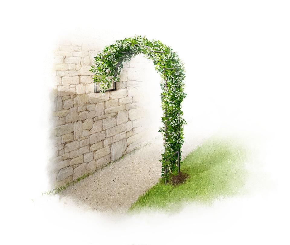 <p>When there’s no room to go outwards, go upwards! Even the smallest space can be transformed with a vertical feature. This clever wall arch design can be easily fixed to a building, wall or fence.</p><p>Wreathed in flowers and foliage, these arches turn bare, bleak spots into enchanting openings. They also make a great place to enjoy some shade and privacy.</p><p>• <a href="https://www.agriframes.co.uk/garden-wall-arch-matt-black" rel="nofollow noopener" target="_blank" data-ylk="slk:Wall Arch via Agriframes;elm:context_link;itc:0;sec:content-canvas" class="link ">Wall Arch via Agriframes</a></p><p>• <a href="https://www.amazon.co.uk/CLP-half-round-wall-mounting-various-dimensions/dp/B07KYPGMN2" rel="nofollow noopener" target="_blank" data-ylk="slk:Half round rose arch via Amazon;elm:context_link;itc:0;sec:content-canvas" class="link ">Half round rose arch via Amazon</a> </p>