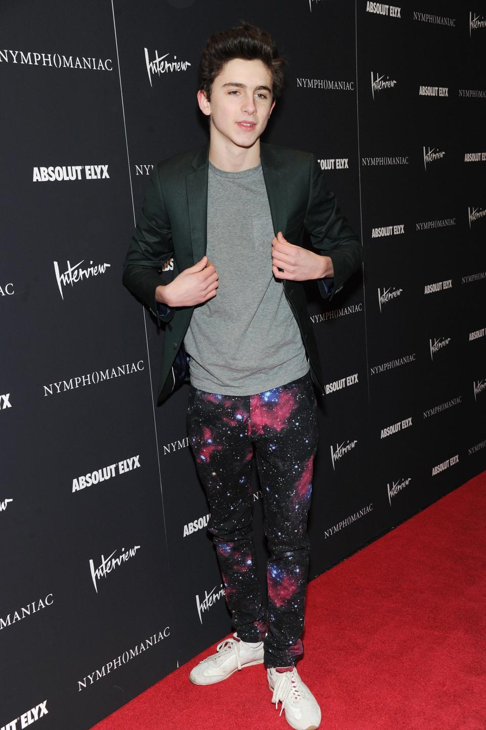 Timothee Chalamet attends the "Nymphomaniac: Volume I" New York screening