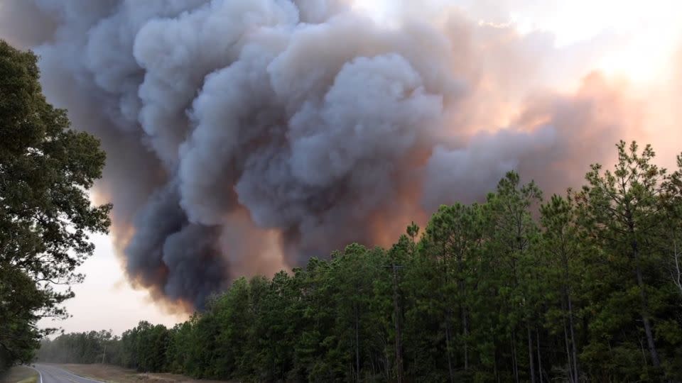 Smoke from a wildfire is seen in Beauregard Parish, Louisiana, on August 24. - Louisiana Department of Agriculture and Forestry