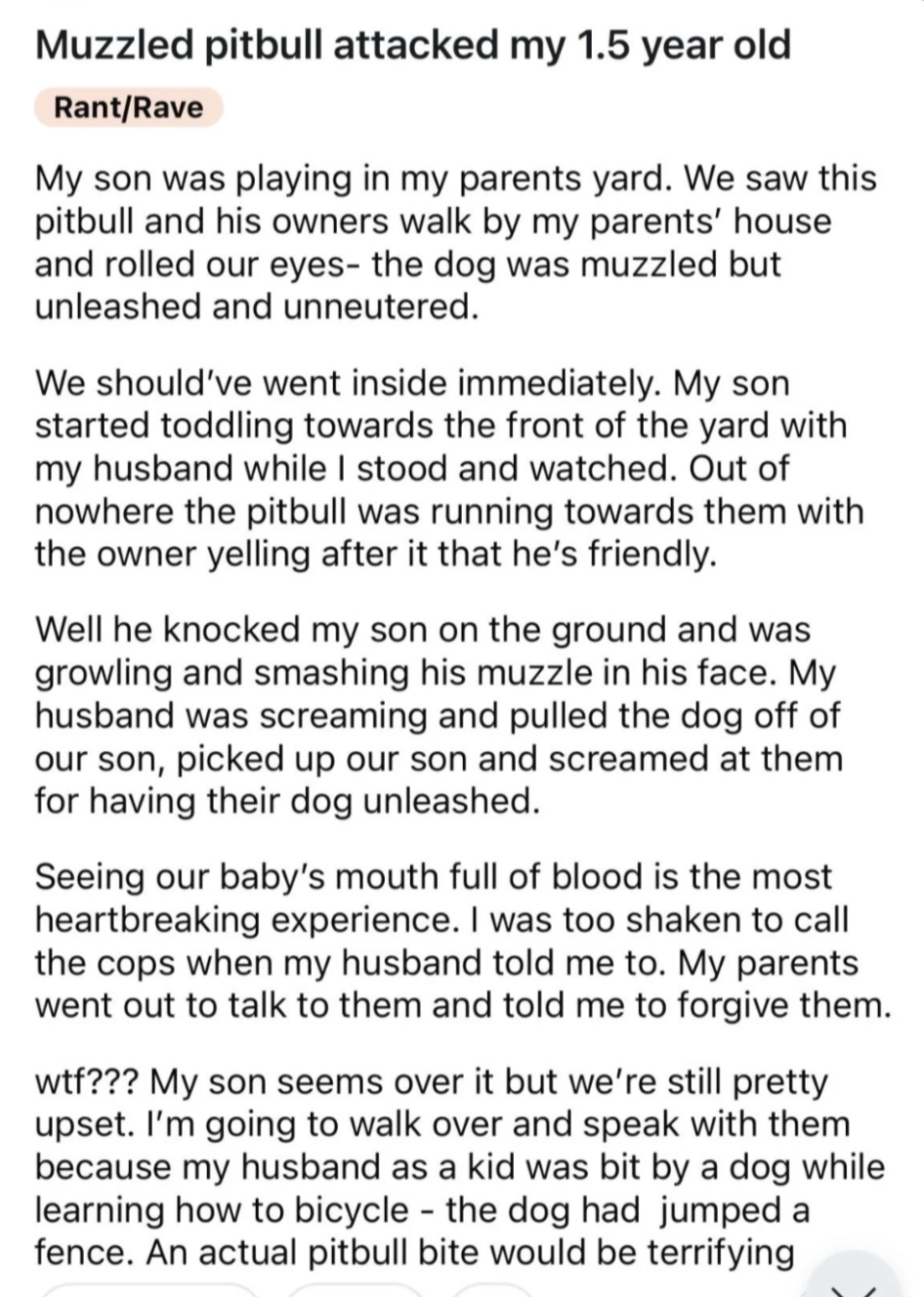 Text summary: A pit bull attacked a 1.5-year-old boy at a parent's yard. The boy suffered facial injuries, and the pet owners argued over the unleashed dog. The poster expresses distress and seeks advice