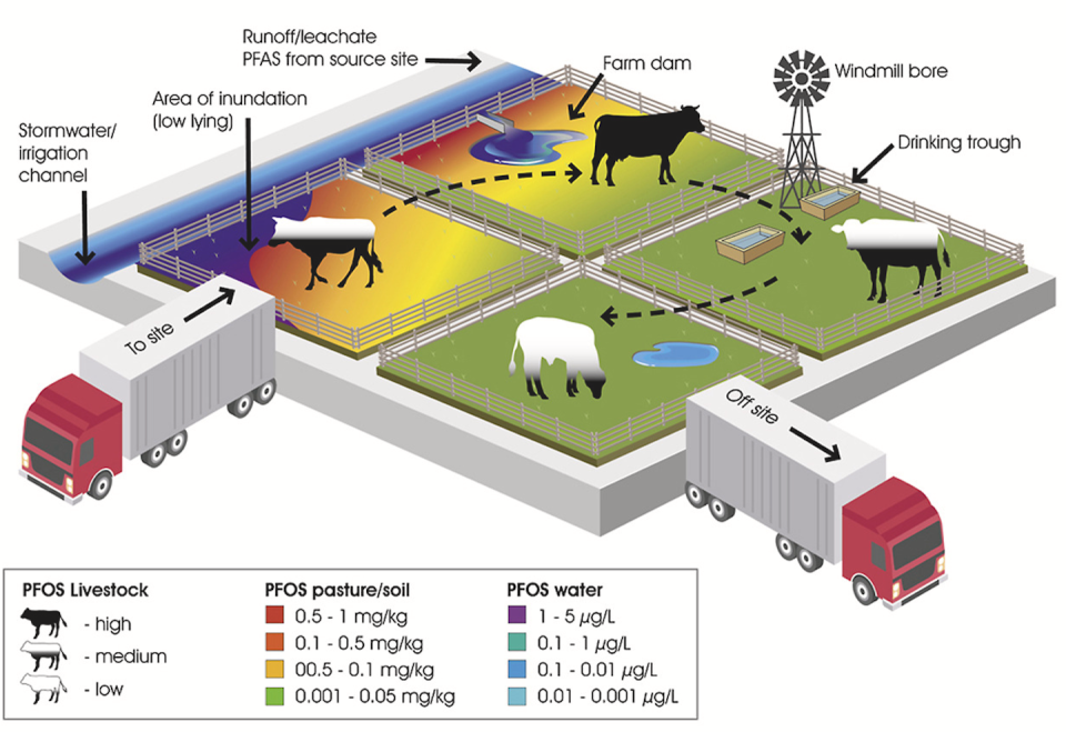 PFAS exposures in livestock vary according to farmland management practices. <a href="https://doi.org/10.1016/j.envres.2023.115518" rel="nofollow noopener" target="_blank" data-ylk="slk:Mikkonen et al 2023;elm:context_link;itc:0;sec:content-canvas" class="link ">Mikkonen et al 2023</a>, Author provided