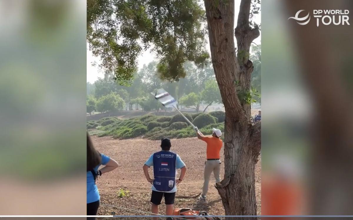 DP World Tour golfer loses three clubs in tree after throwing driver in frustration