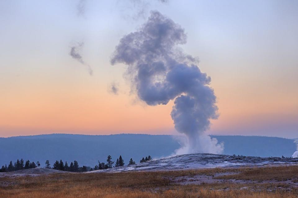 old faithful geyser erupting at sunset