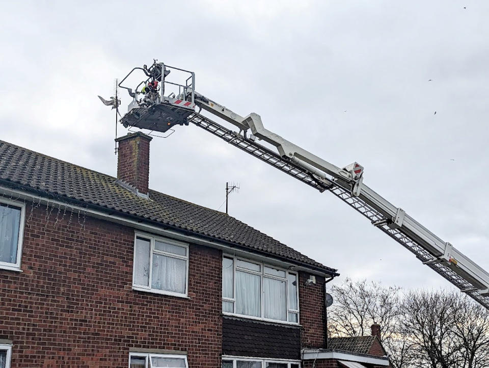 Firefighters spent three hours rescuing the seagull. (SWNS)