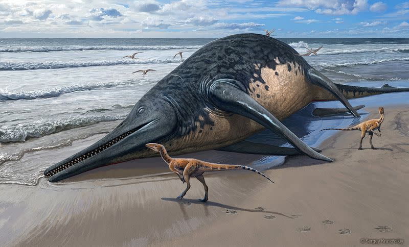 This illustration shows the washed-up carcass of a Ichthyotitan severnensis, a newly identified species of marine reptile that lived 202 million years ago based on fossils discovered at Somerset, England