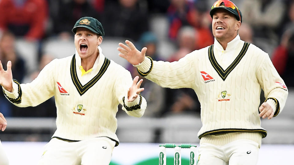 Steve Smith and David Warner, pictured here in action for Australia during the Ashes.