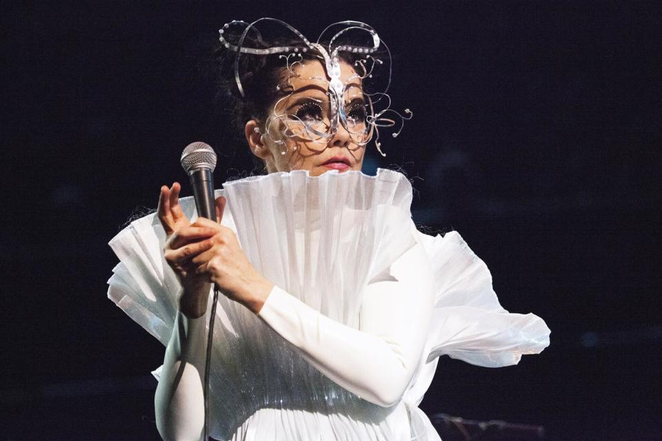 Speaking out: Bjork: Santiago Felipe/Getty Images