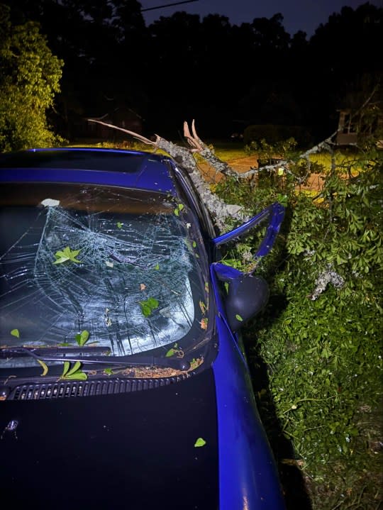 Tree fell on car (Amy Davis)