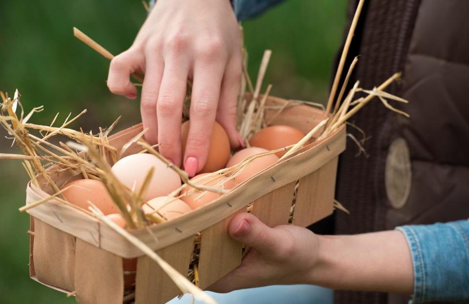 Farm-fresh eggs