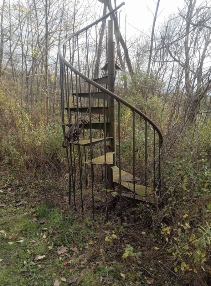 a staircase in the woods