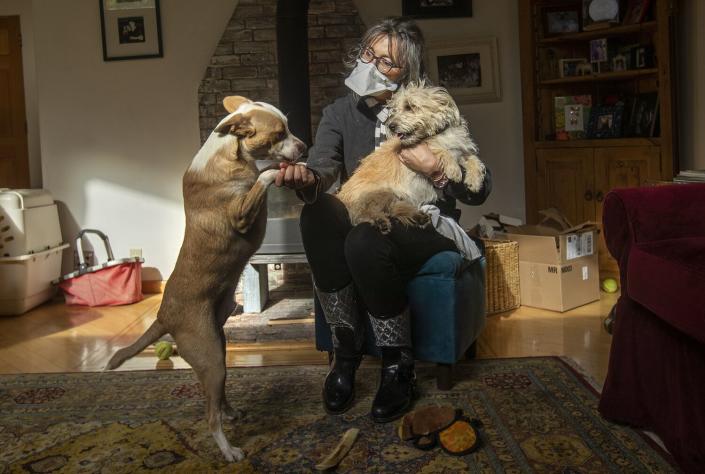 Cindi Hilfman plays with her dogs Ghandi, left, and Maizy at her Topanga home.