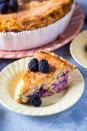 <p>What's not to love about fresh blackberries and sweet custard?</p><p>Get the <a href="https://blackberrybabe.com/2019/06/11/blackberry-custard-pie-16/" rel="nofollow noopener" target="_blank" data-ylk="slk:Blackberry Custard Pie;elm:context_link;itc:0;sec:content-canvas" class="link ">Blackberry Custard Pie</a> recipe.</p><p>Recipe from <a href="https://blackberrybabe.com/" rel="nofollow noopener" target="_blank" data-ylk="slk:Blackberry Babe;elm:context_link;itc:0;sec:content-canvas" class="link ">Blackberry Babe</a>. </p>