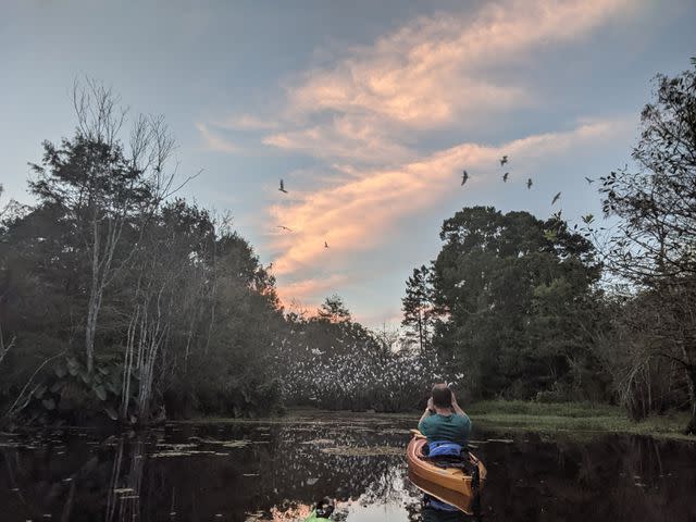 <p>Georgia State Parks</p>