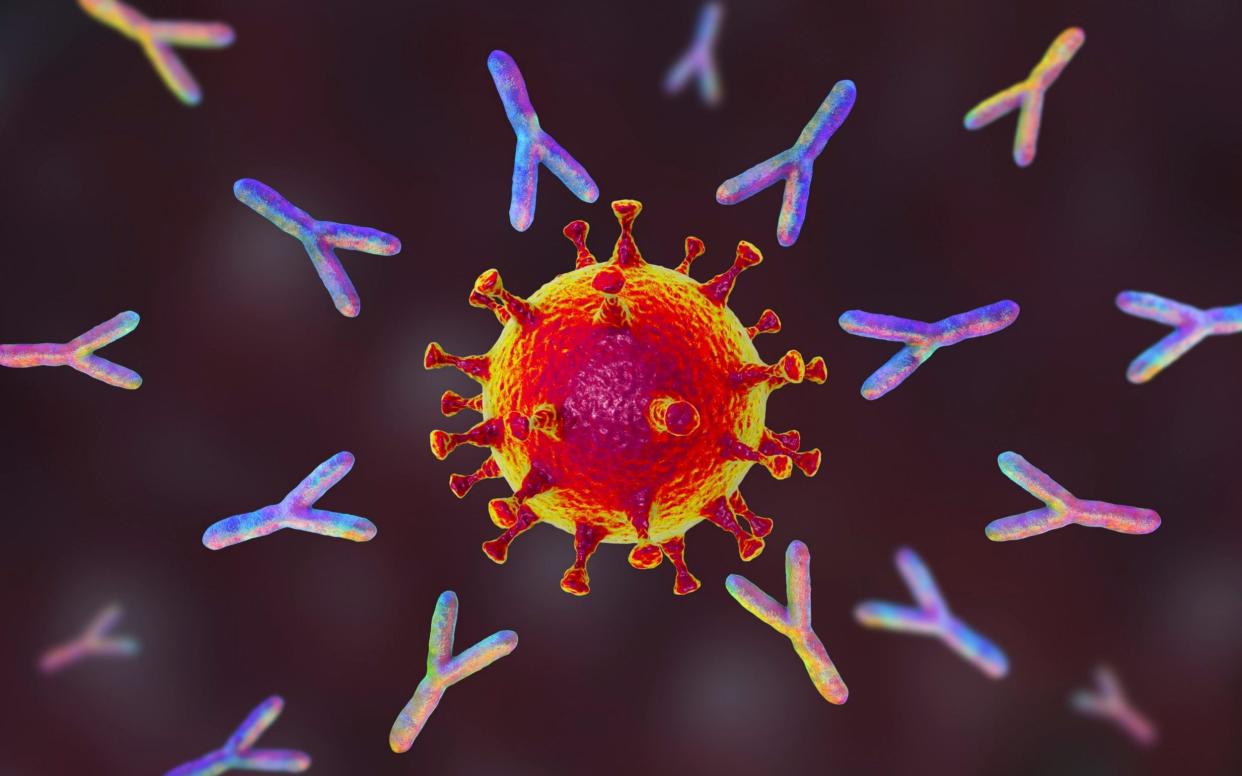 Coronavirus Illustration  - Science Photo Library RF 